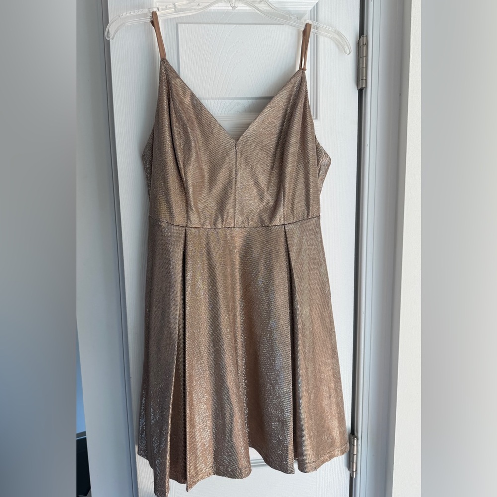 Lulu's Champagne Skater Dress